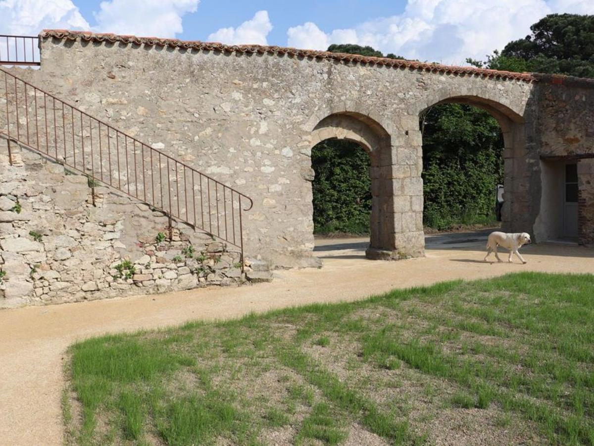 Gite 18Eme Renove Avec Piscine Couverte, Terrasse, Loisirs Et Wifi - 6 Pers. - Fr-1-426-432 Les Herbiers Luaran gambar